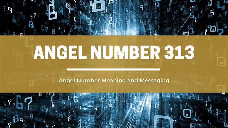 angel number 313