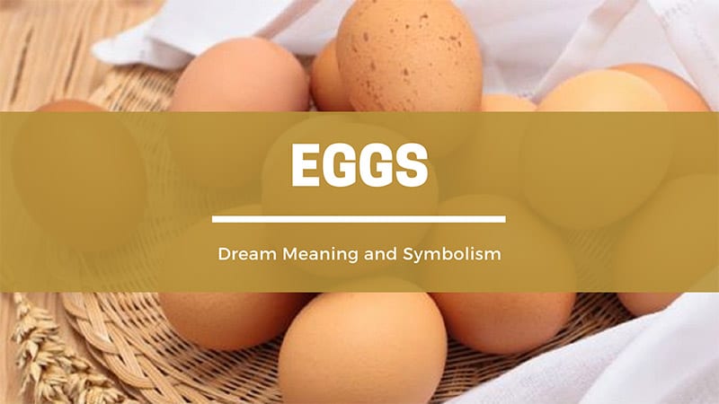 eggs dream meaning