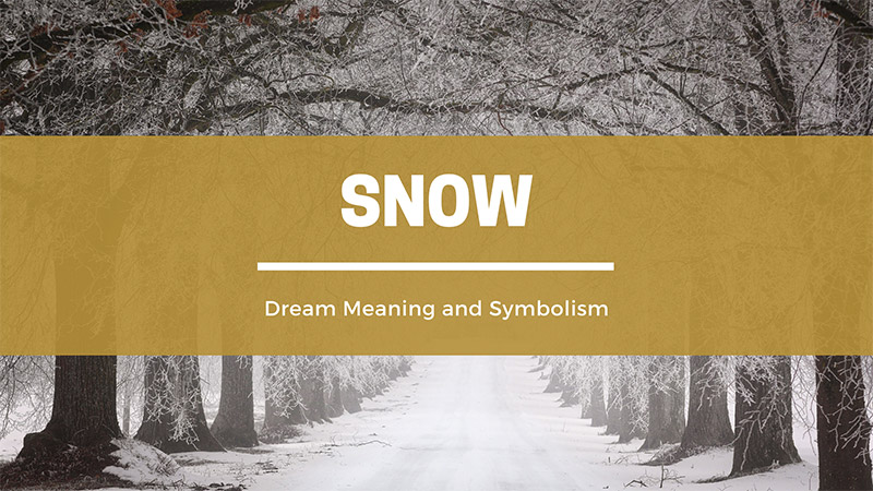 dreaming about snow