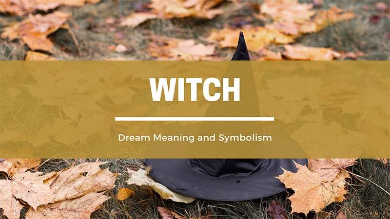 witches dream meaning